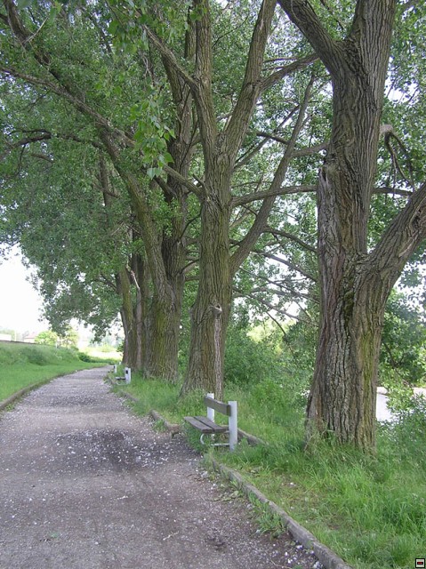 img00006.jpg