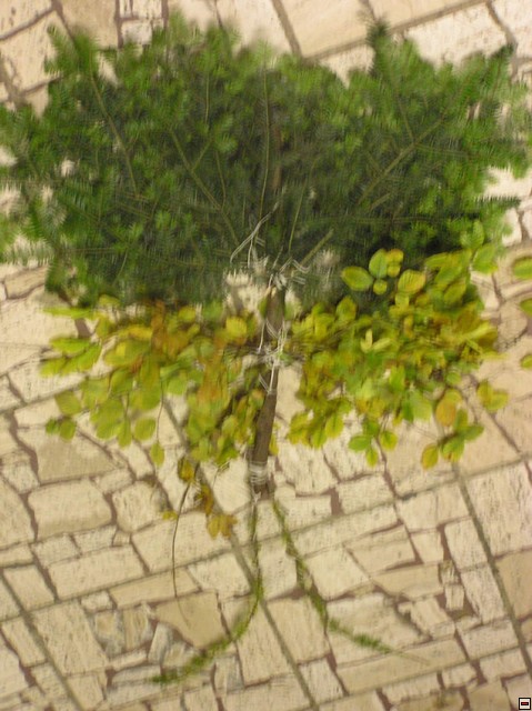 img00003.jpg