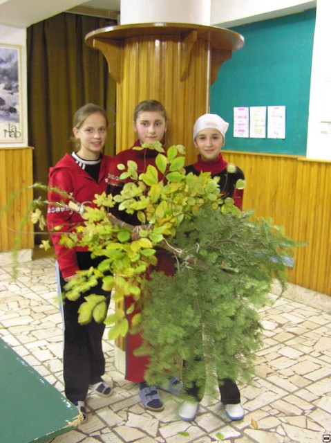 img00004.jpg