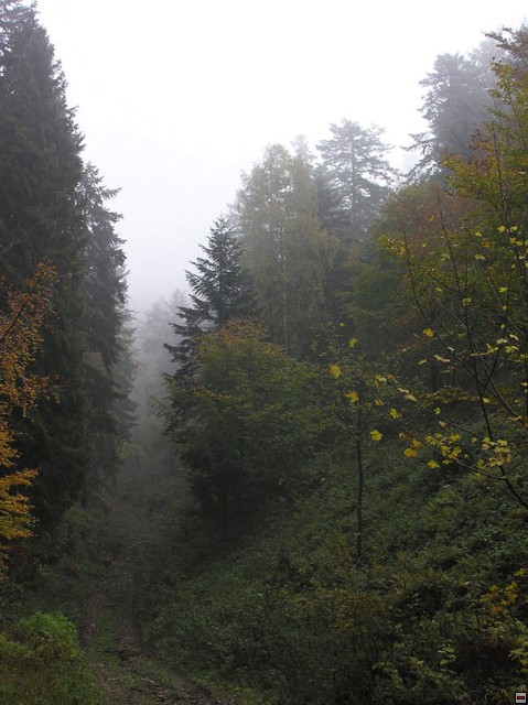 img00015.jpg
