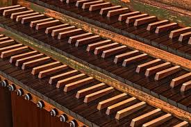 organ.jpg