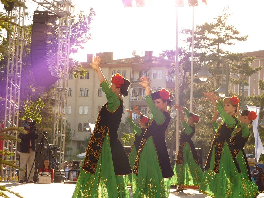 img00071.jpg