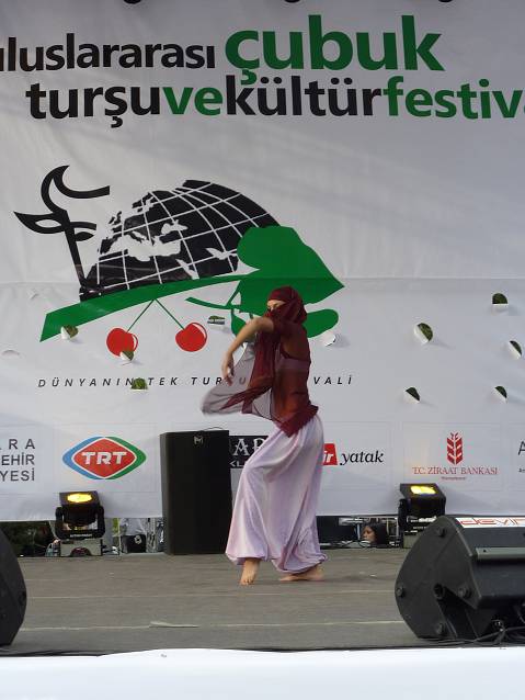 img00100.jpg