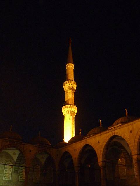img00139.jpg