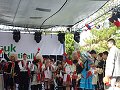 thn00110.jpg