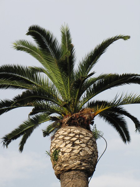 Amalfi, Benátky, Rím