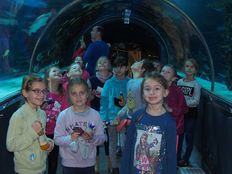 15. medzinárodný  festival tanca a hudby v Budapešti