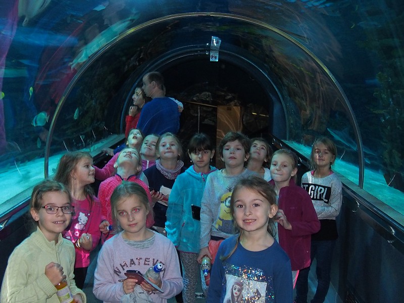 15. medzinárodný  festival tanca a hudby v Budapešti