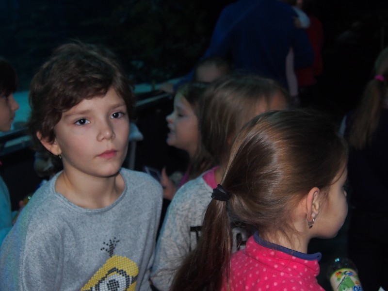 15. medzinárodný  festival tanca a hudby v Budapešti