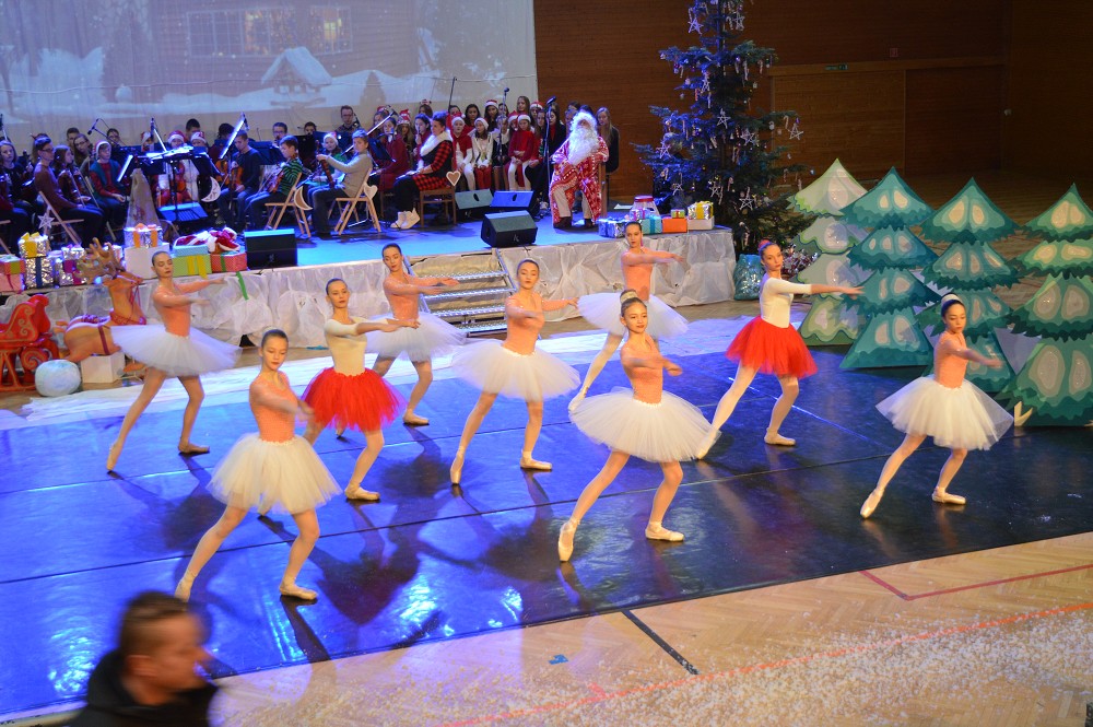 img00031.jpg