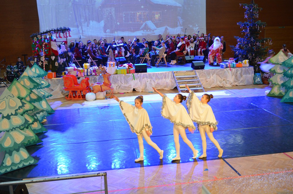 img00036.jpg