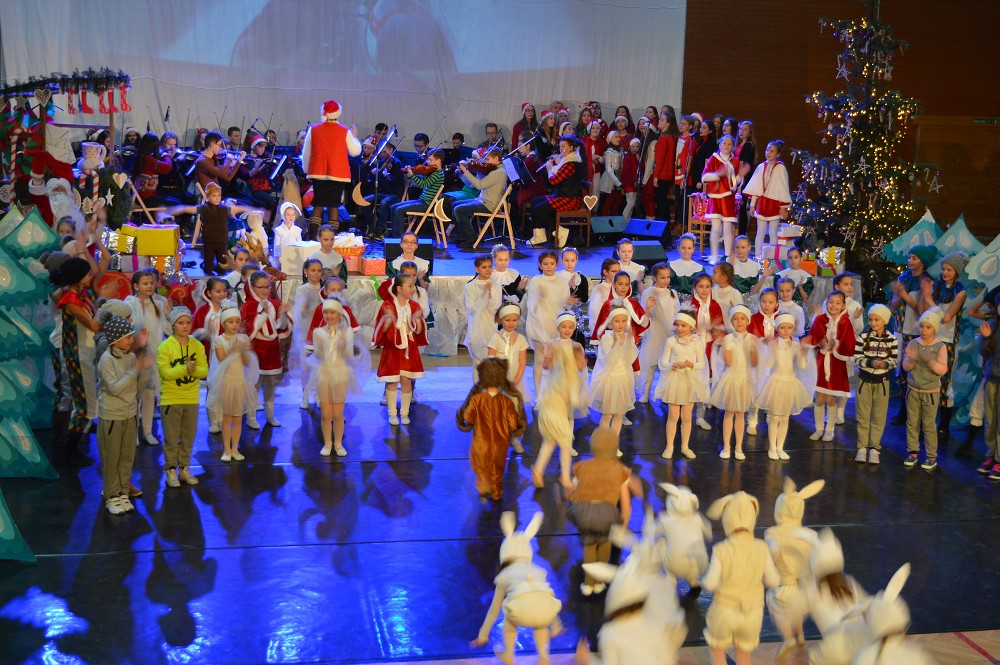 img00083.jpg