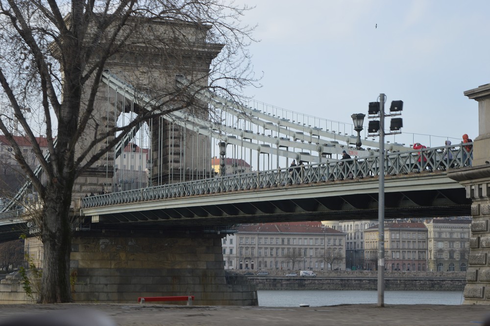 img00099.jpg