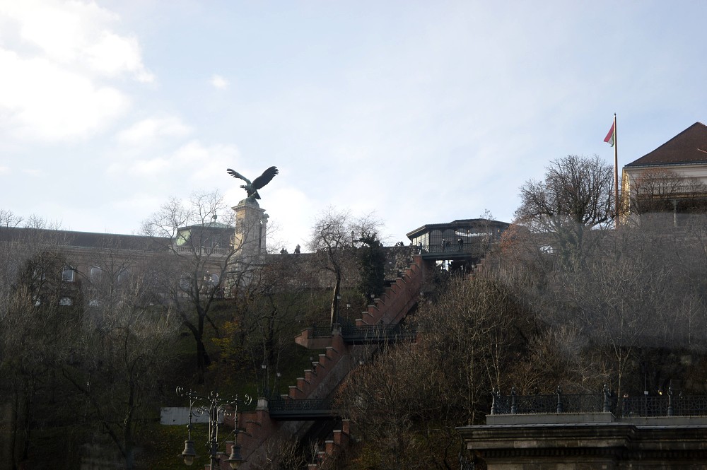 img00107.jpg