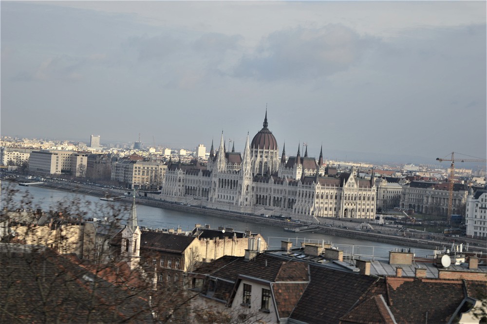 img00111.jpg