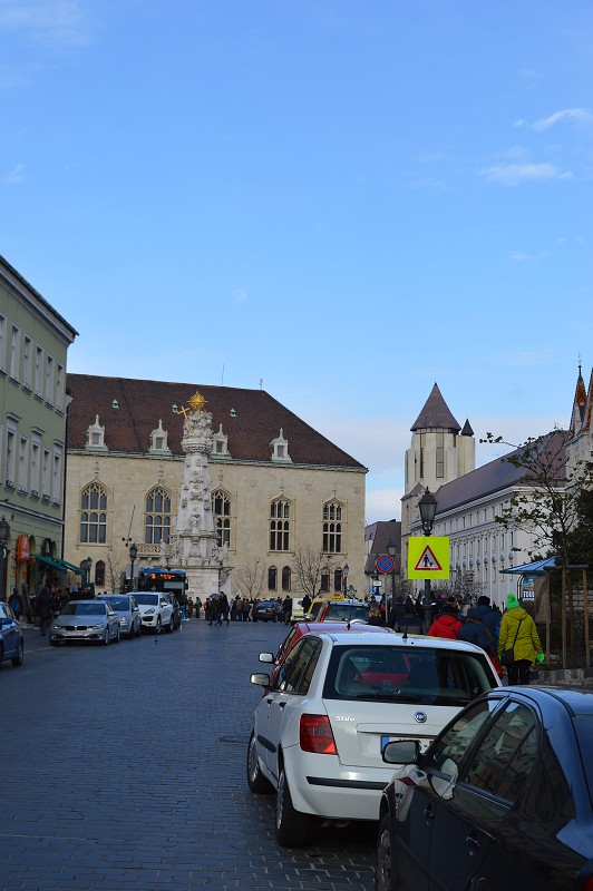 img00116.jpg
