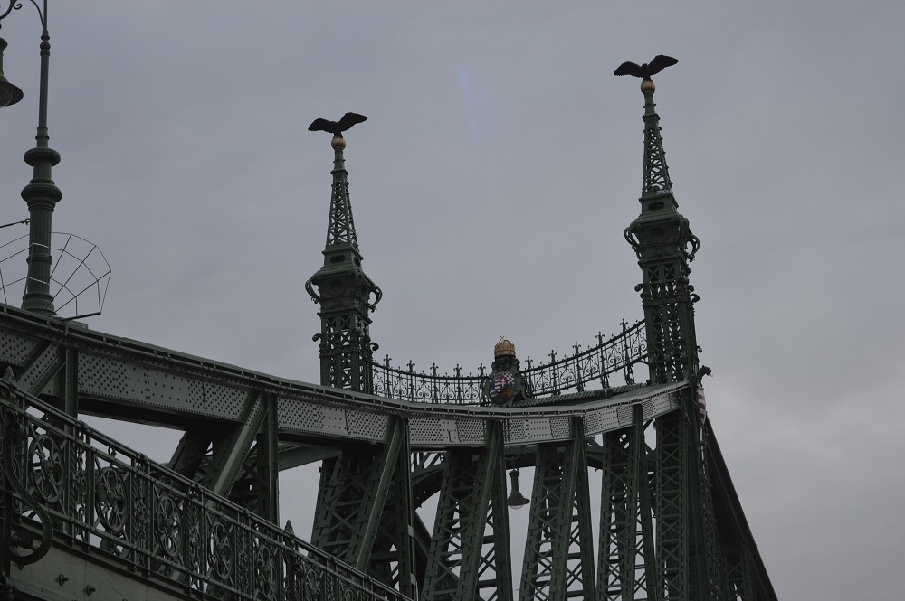 img00180.jpg