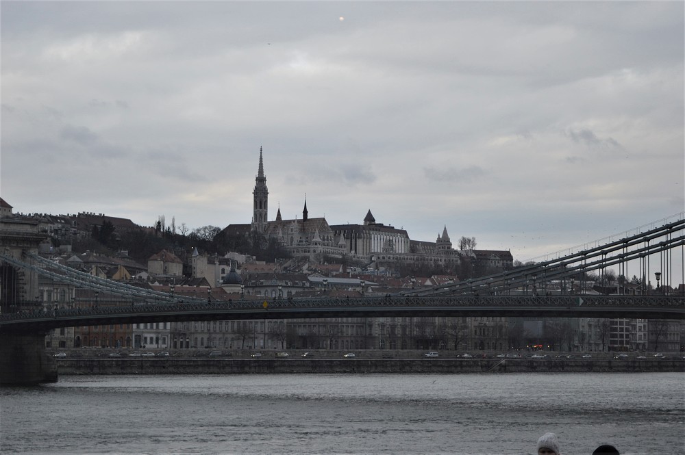 img00184.jpg