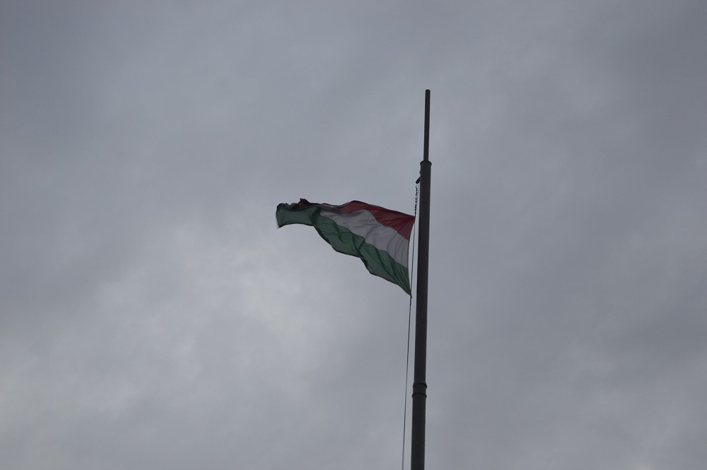 img00186.jpg