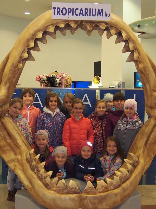 img00028.jpg