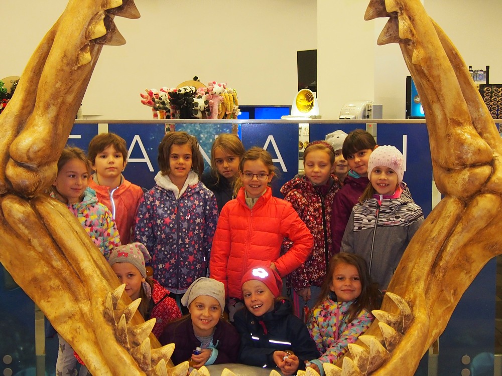 img00029.jpg