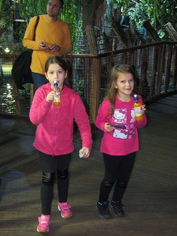 img00036.jpg
