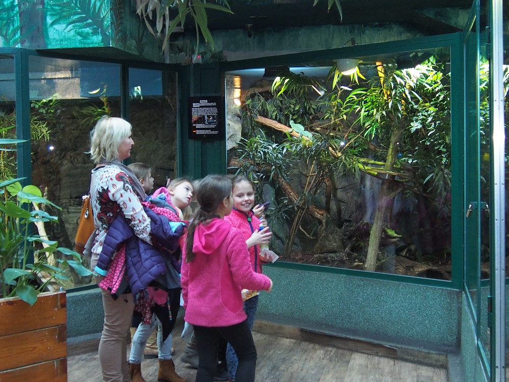 img00040.jpg