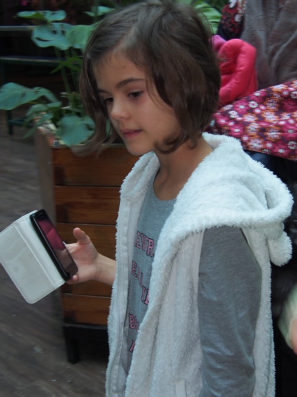 img00042.jpg