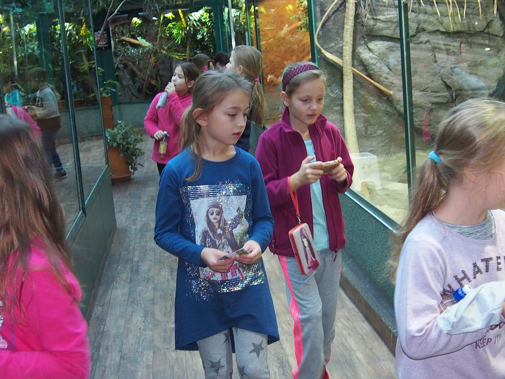 img00043.jpg