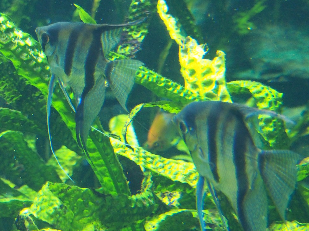 img00048.jpg