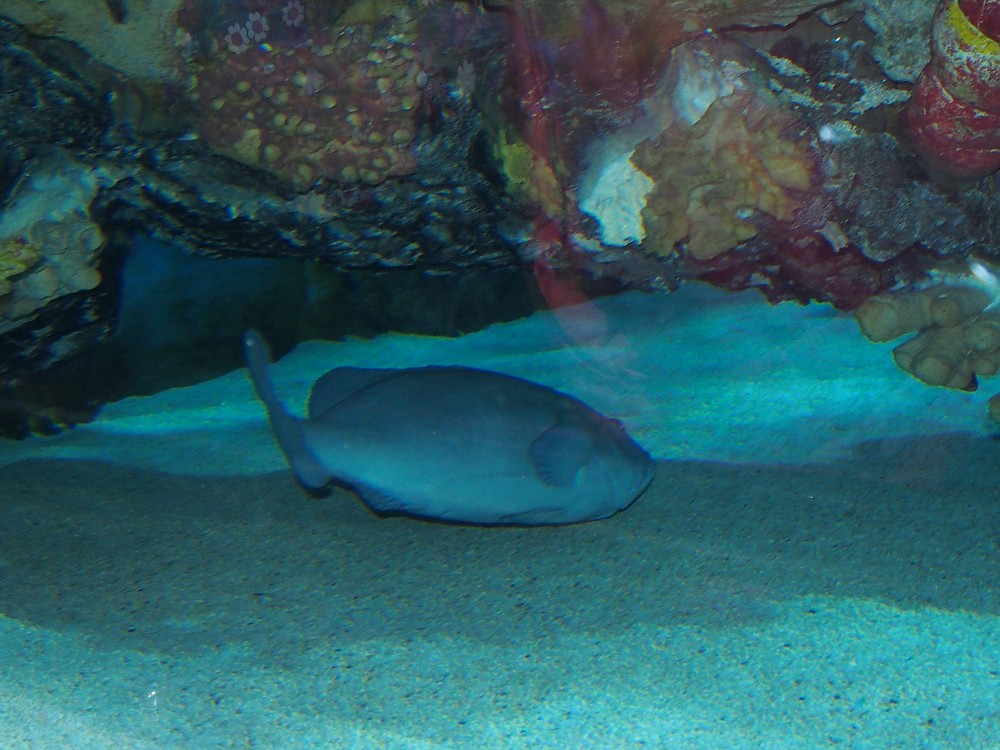 img00058.jpg
