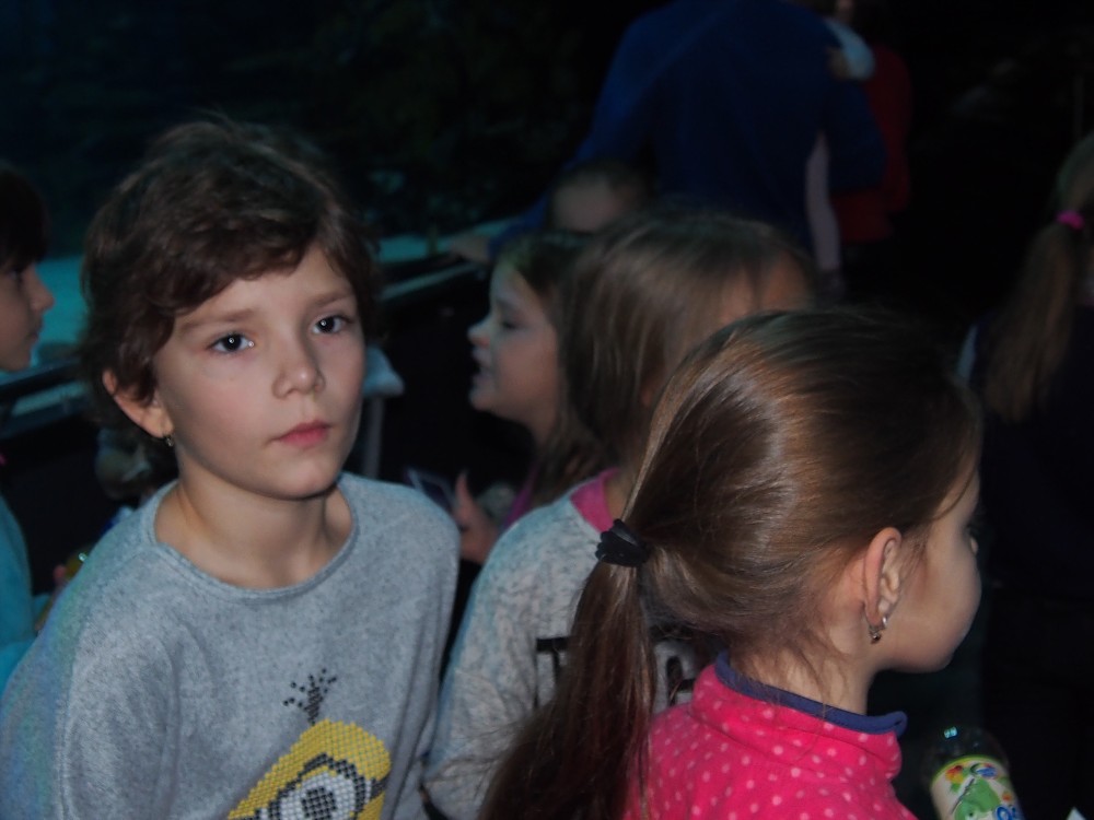 img00060.jpg