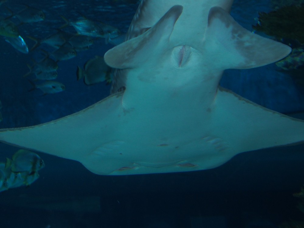 img00076.jpg