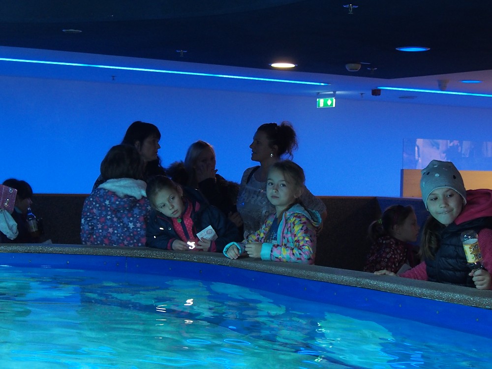 img00112.jpg