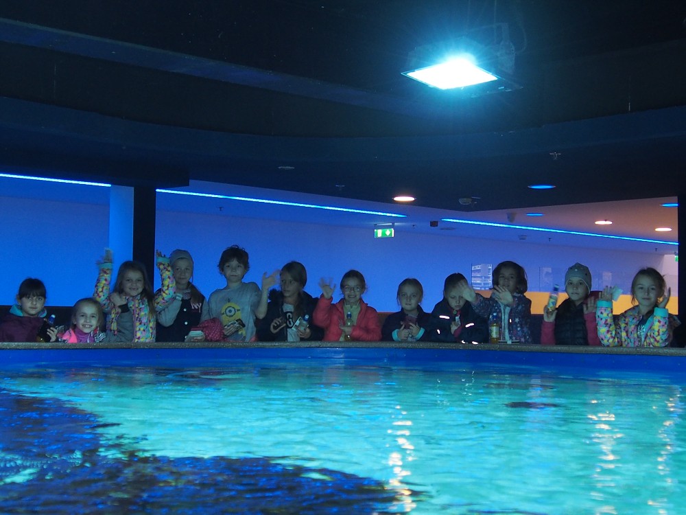 img00113.jpg