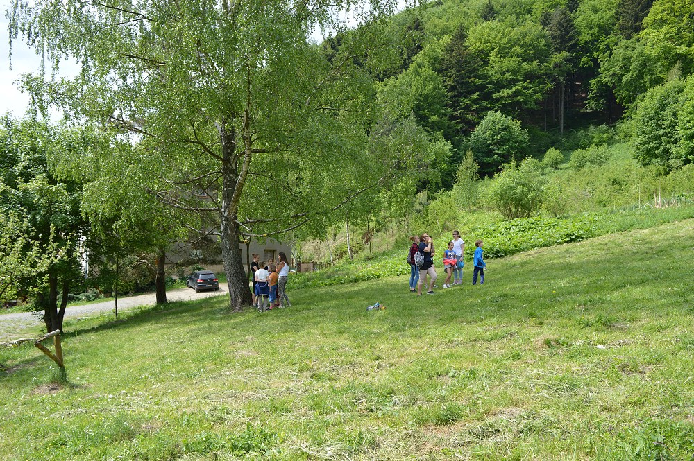 img00013.jpg