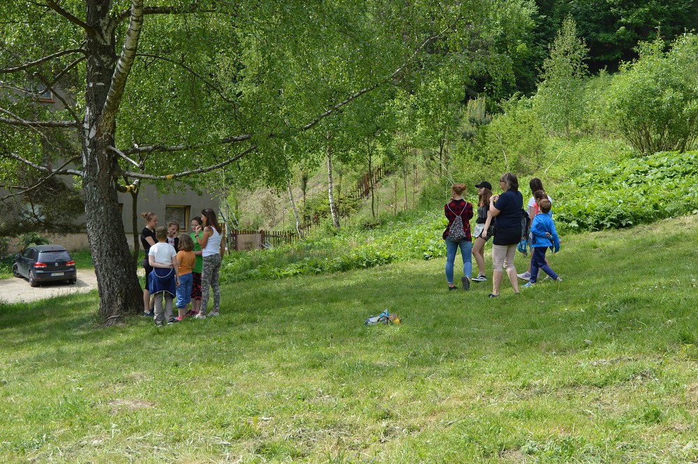 img00014.jpg