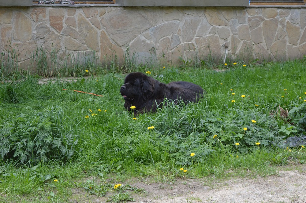 img00017.jpg