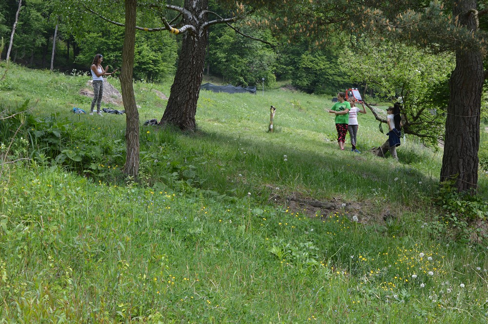 img00018.jpg