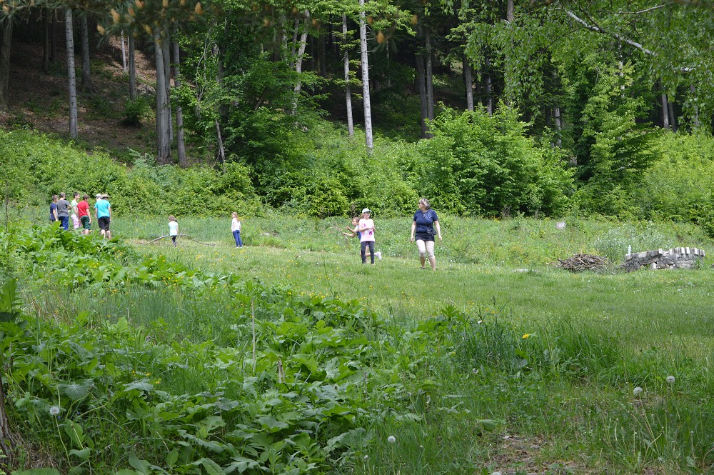 img00020.jpg