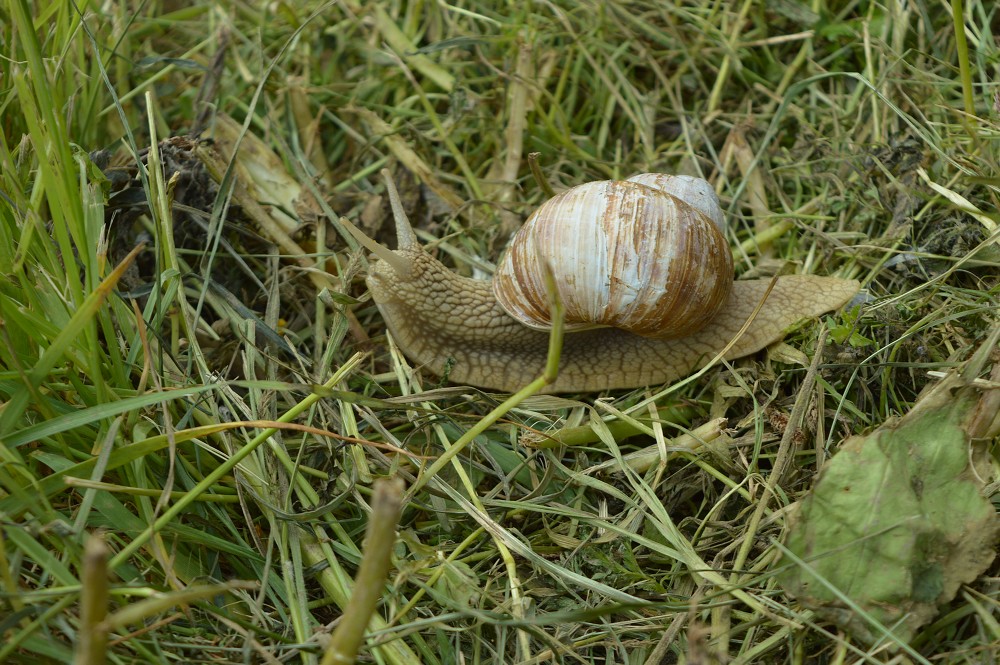 img00023.jpg