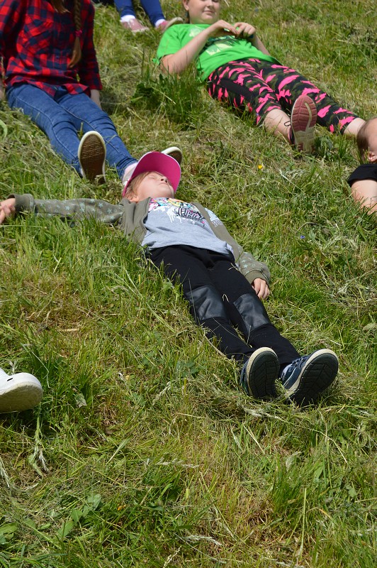 img00035.jpg