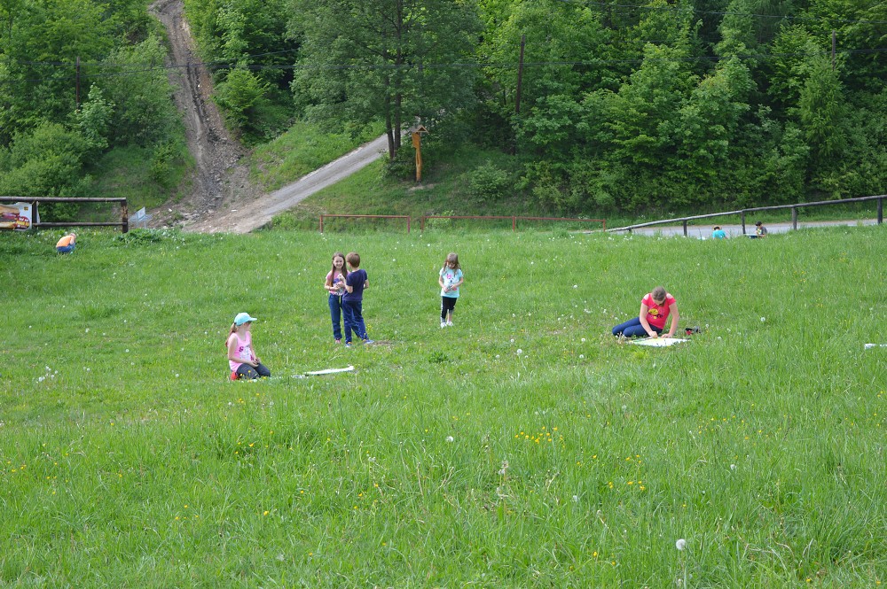 img00061.jpg