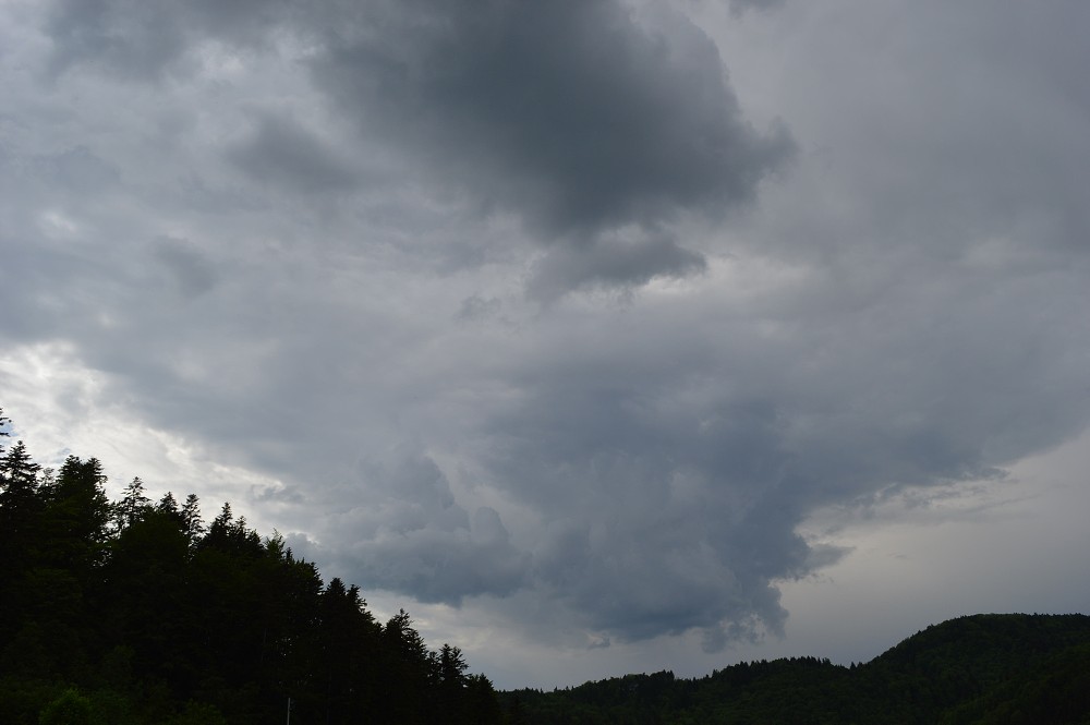 img00073.jpg