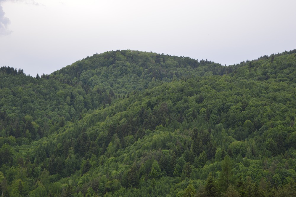 img00074.jpg