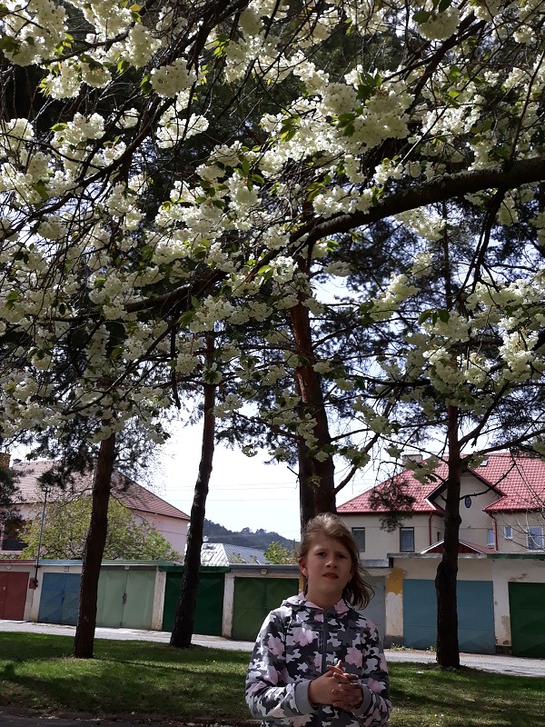 img00016.jpg