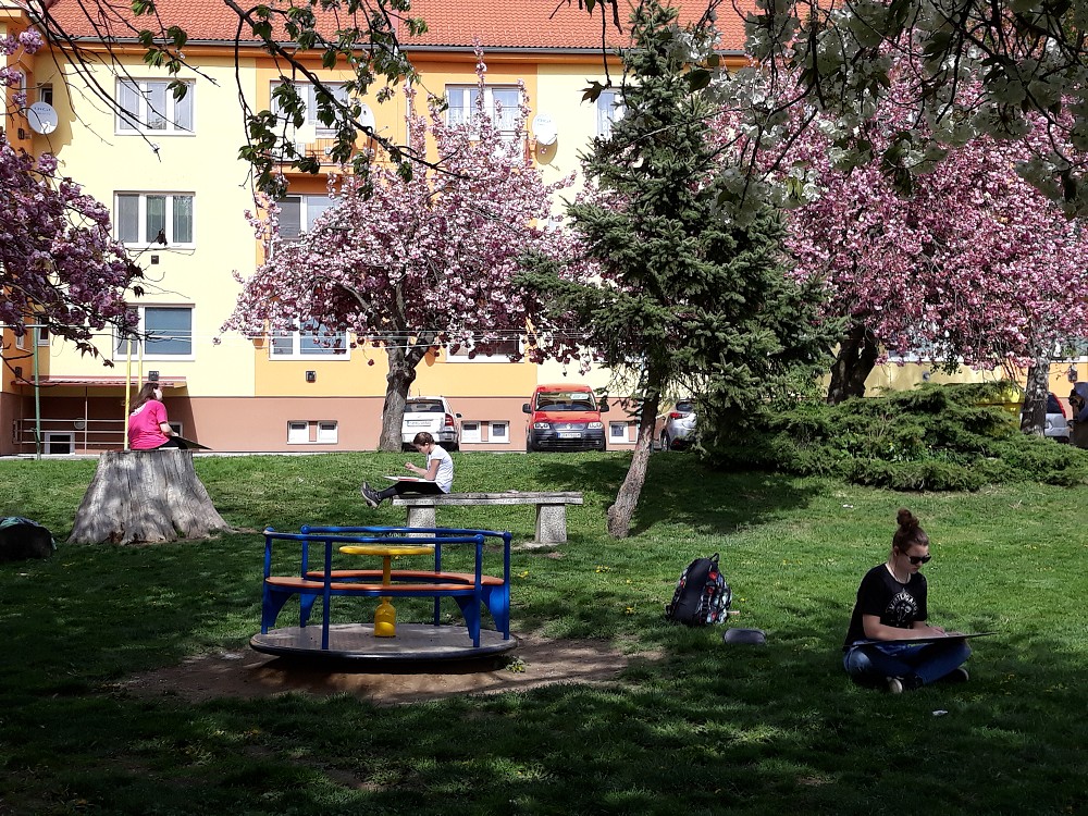 img00026.jpg