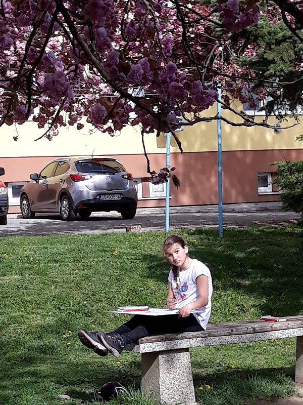img00029.jpg