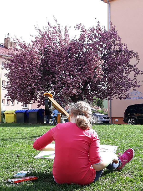img00036.jpg