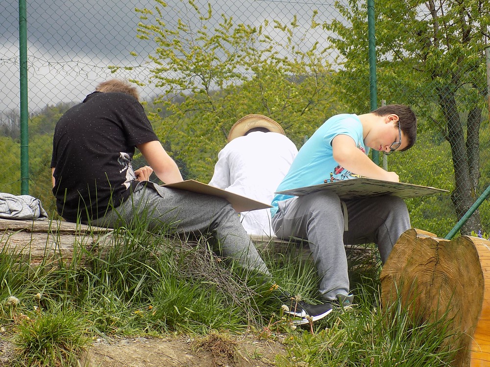 img00028.jpg